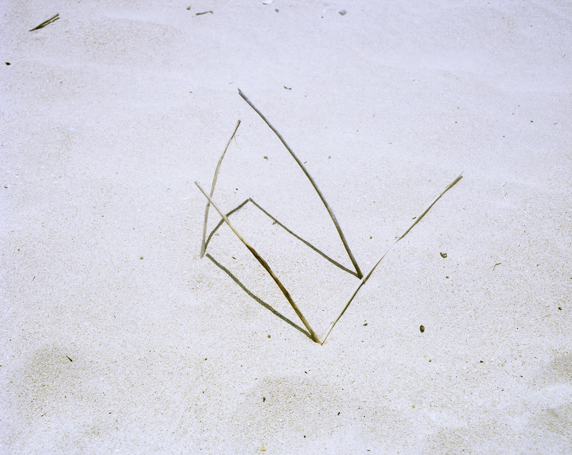 sticks_4.jpg