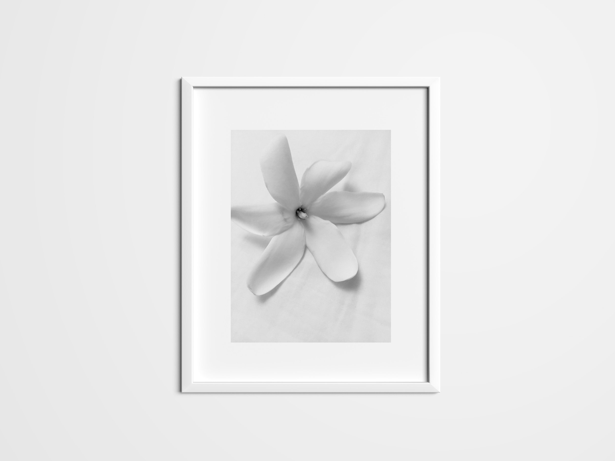 Tahitian gardenia-mock.jpg