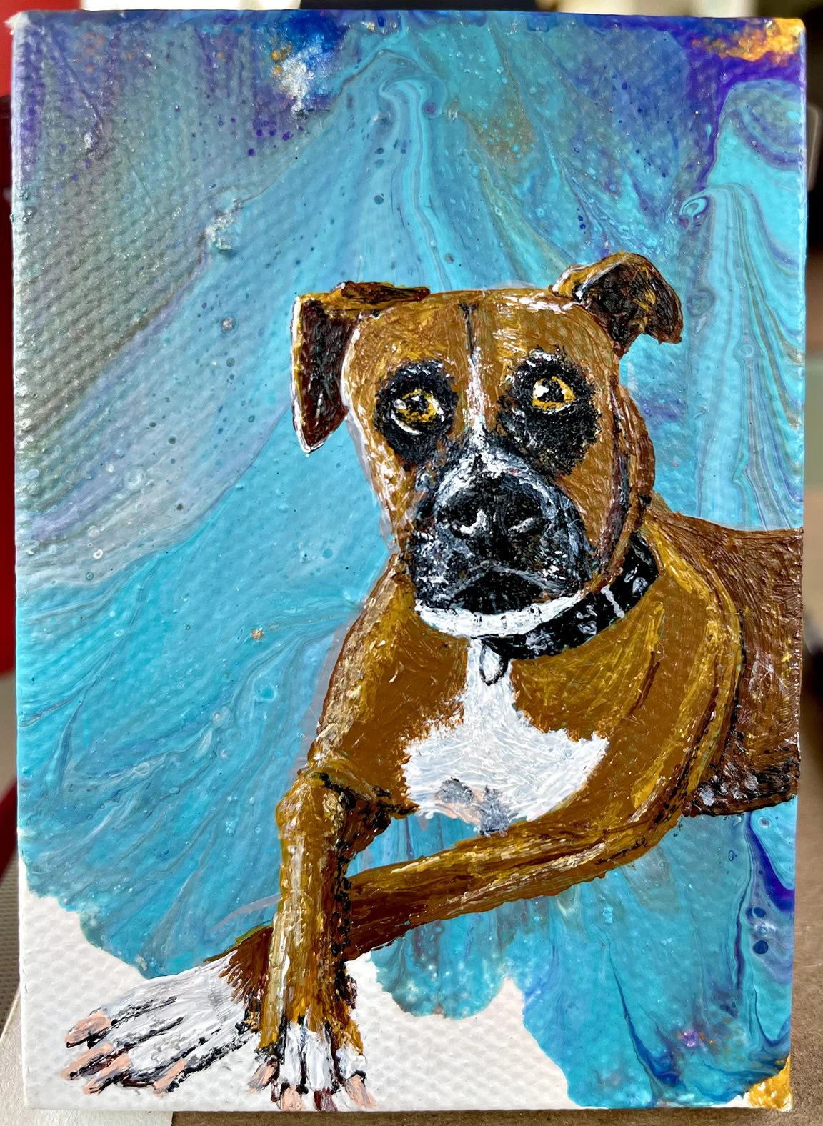 Fuego the dog