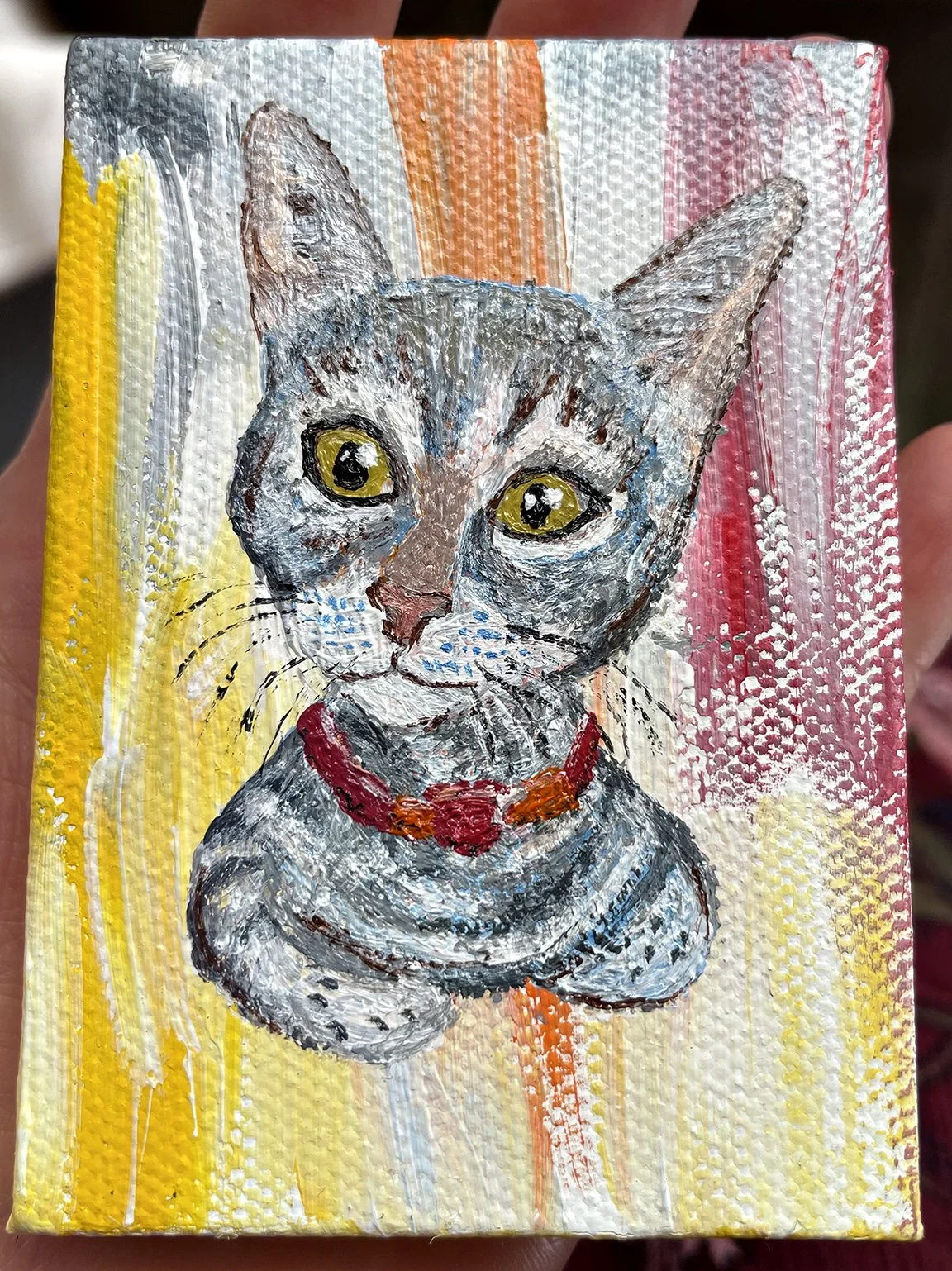 Sissy the cat
