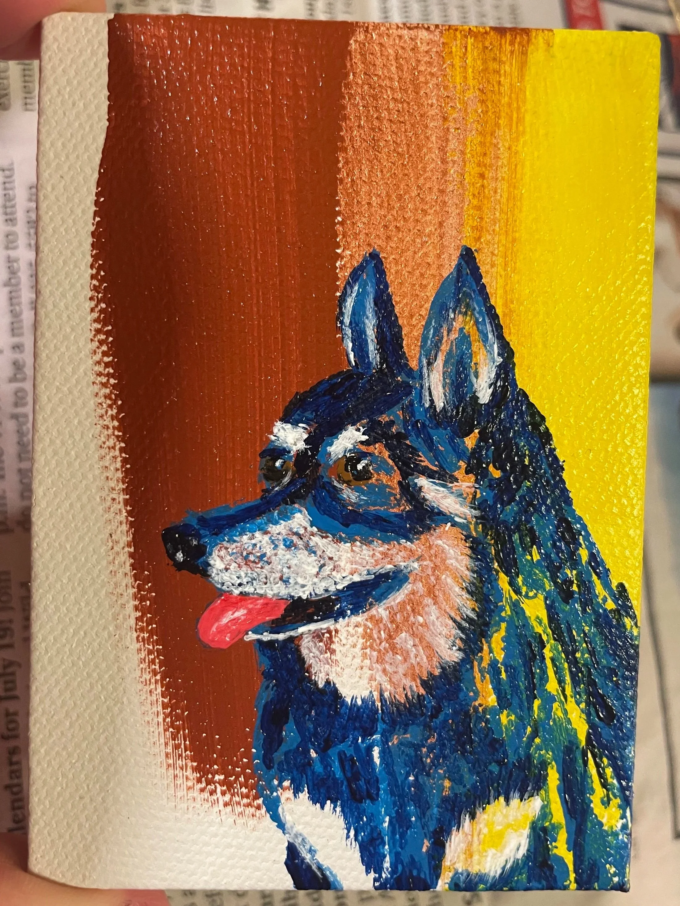 Amigo the dog