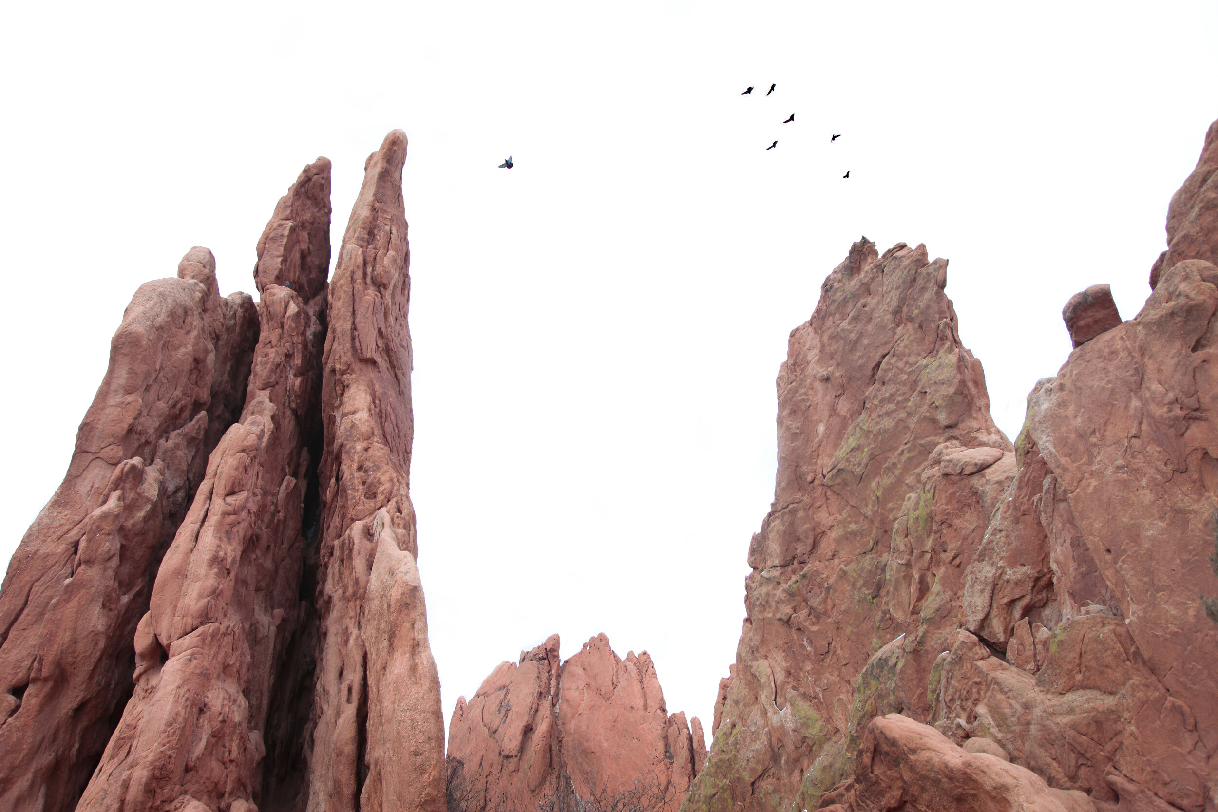 Garden of the Gods