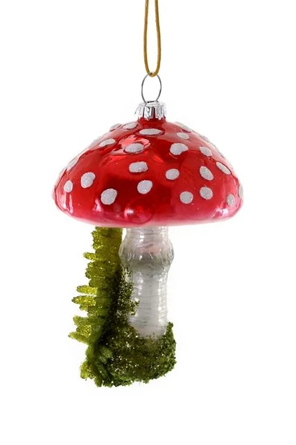 cody foster high grove mushroom red.jpeg