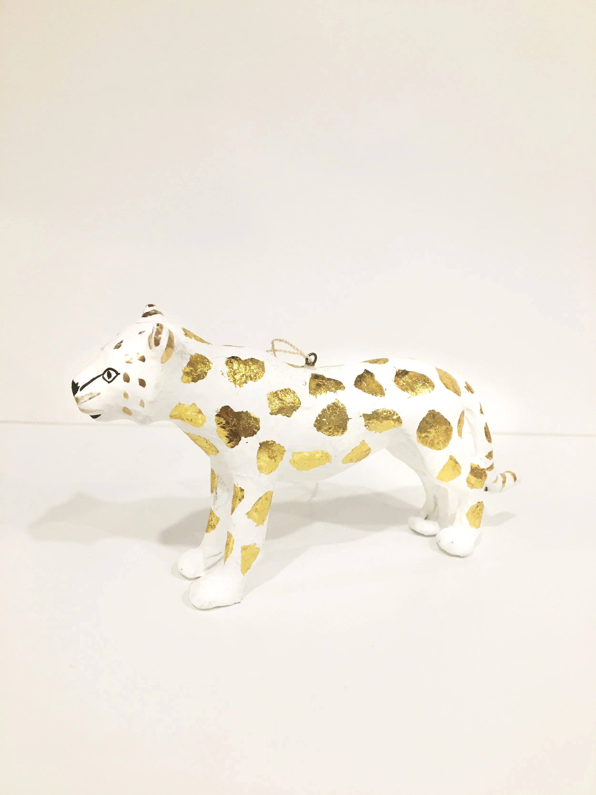 cheetah side 2.jpg