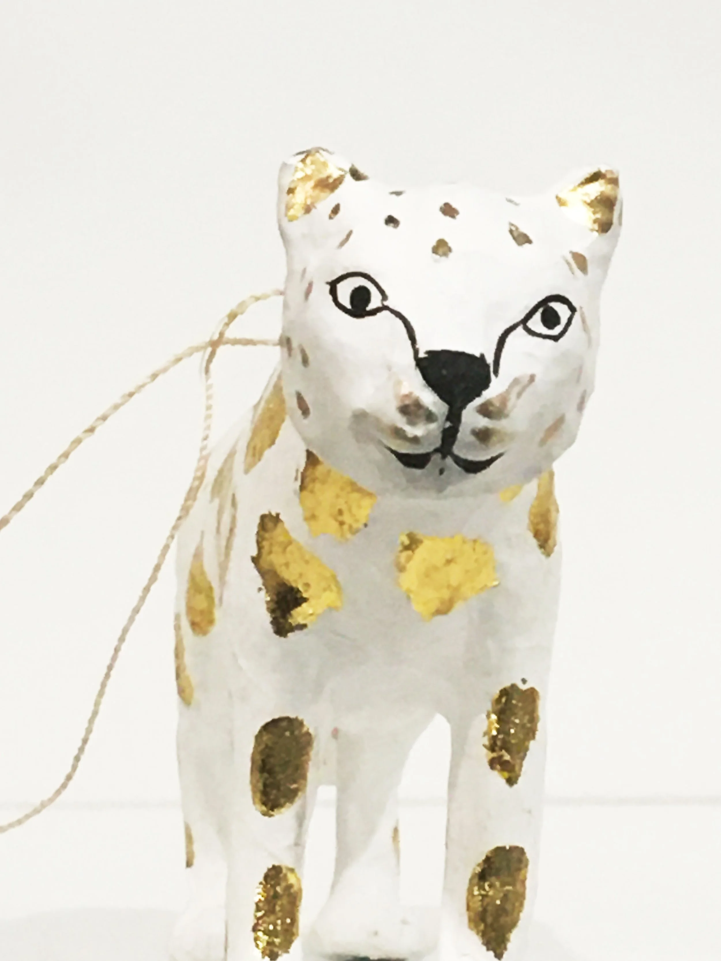 Cheetah face forward.jpg