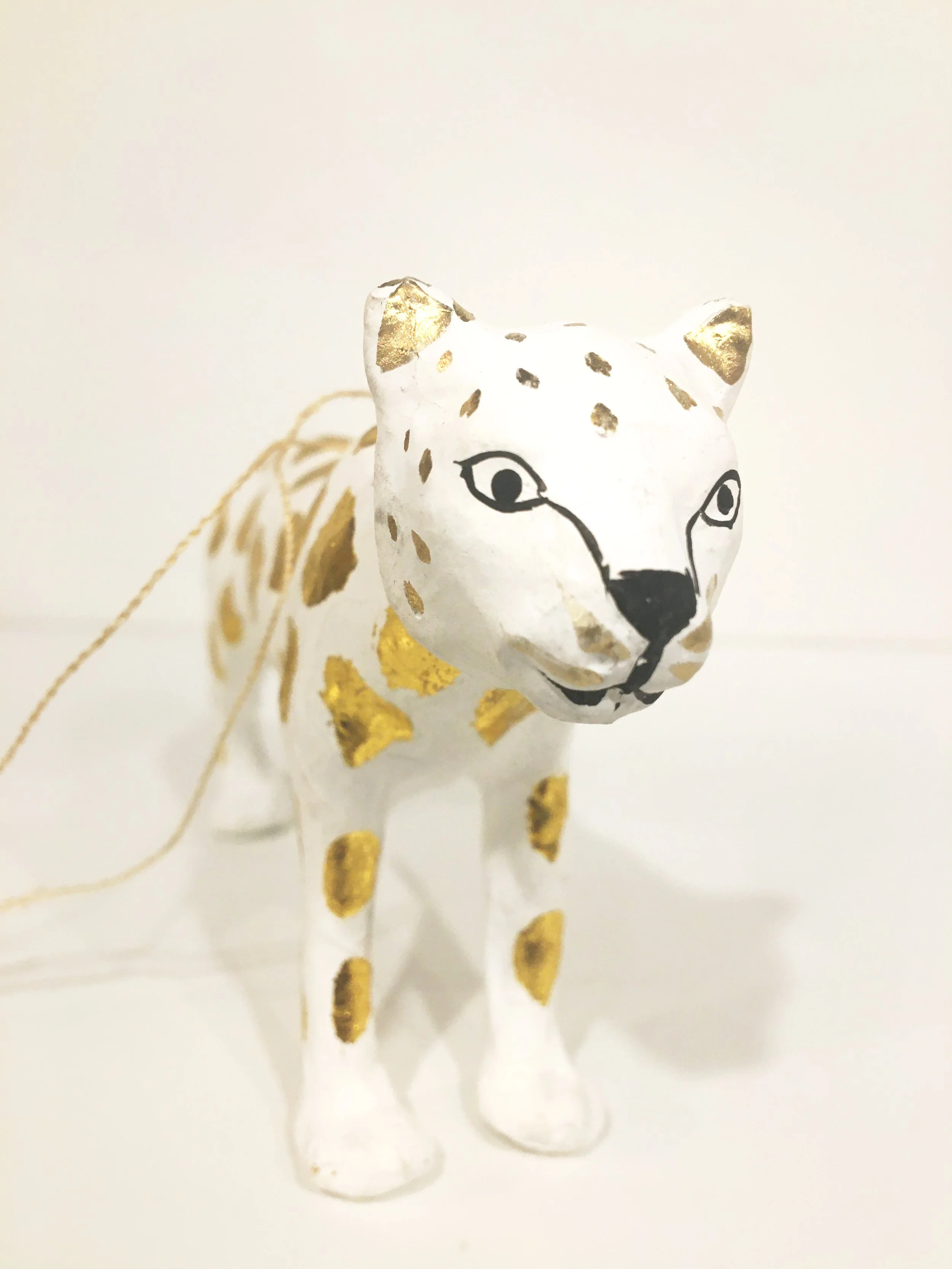 Cheetah slight tilt.jpg