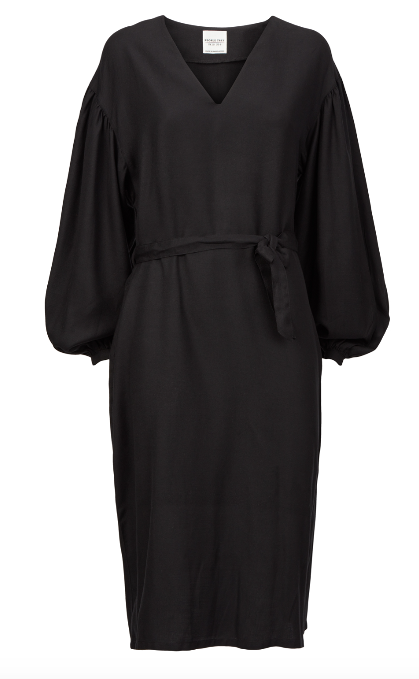 People Tree Ripley Dress alone.png