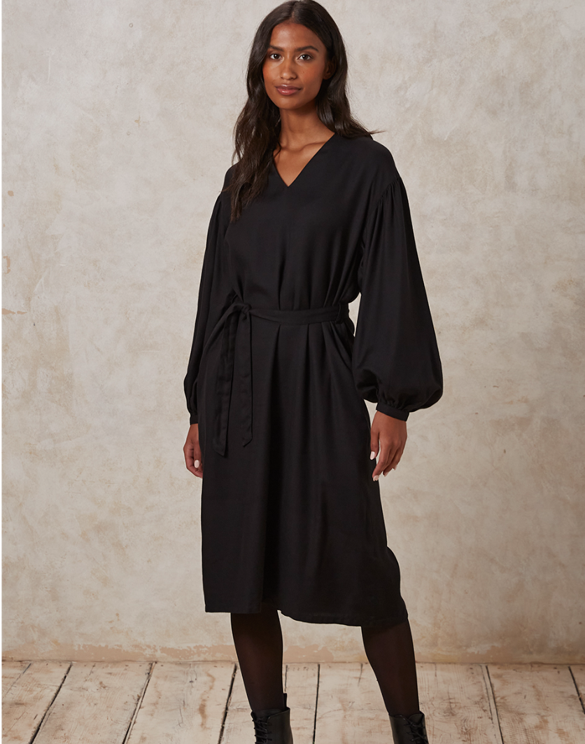 People Tree Ripley Dress front cinched.png