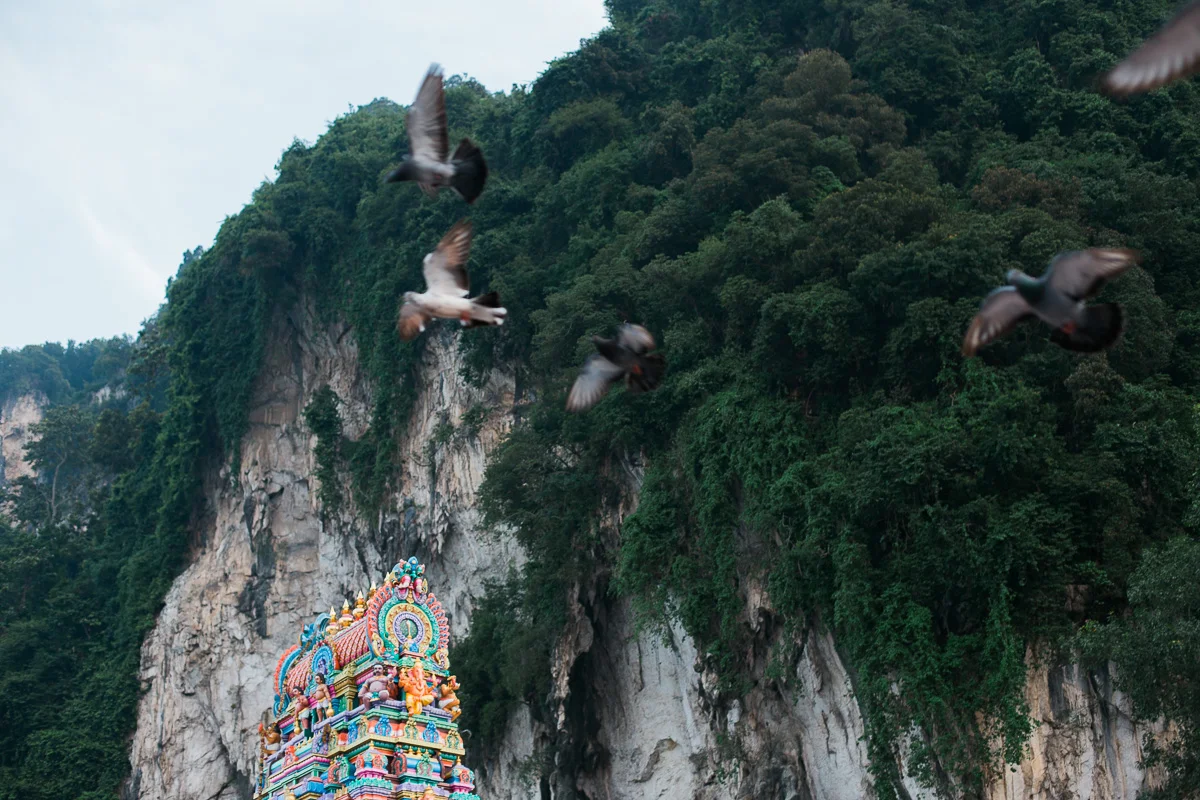 Birds fly over a temple at Batu Caves.