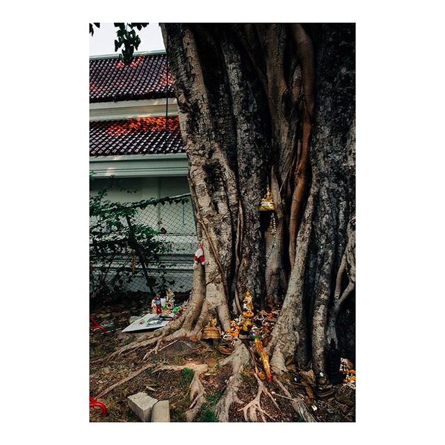 Anyone else find it left of impossible to keep up with instagram while you're on holiday with little kids? 
Anyway, Bangkok was pretty cool. I loved these little shrines all over the place. .
.
.
.
.
.
.
#exploremore #exploretocreate #familytravel #t