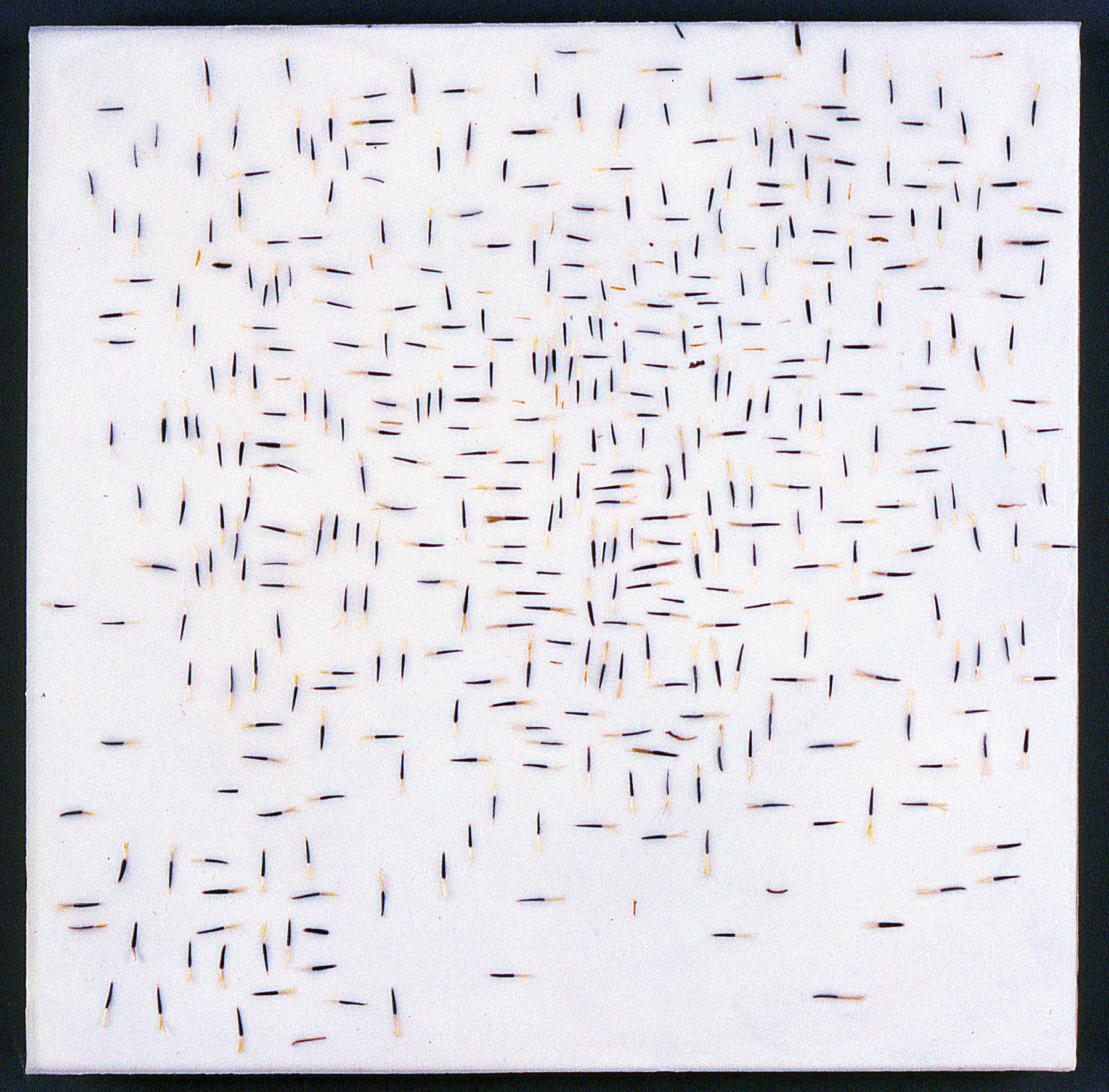  Swarm Splitting  2008  oils, plant material, encaustic on panel  15" x 15" 
