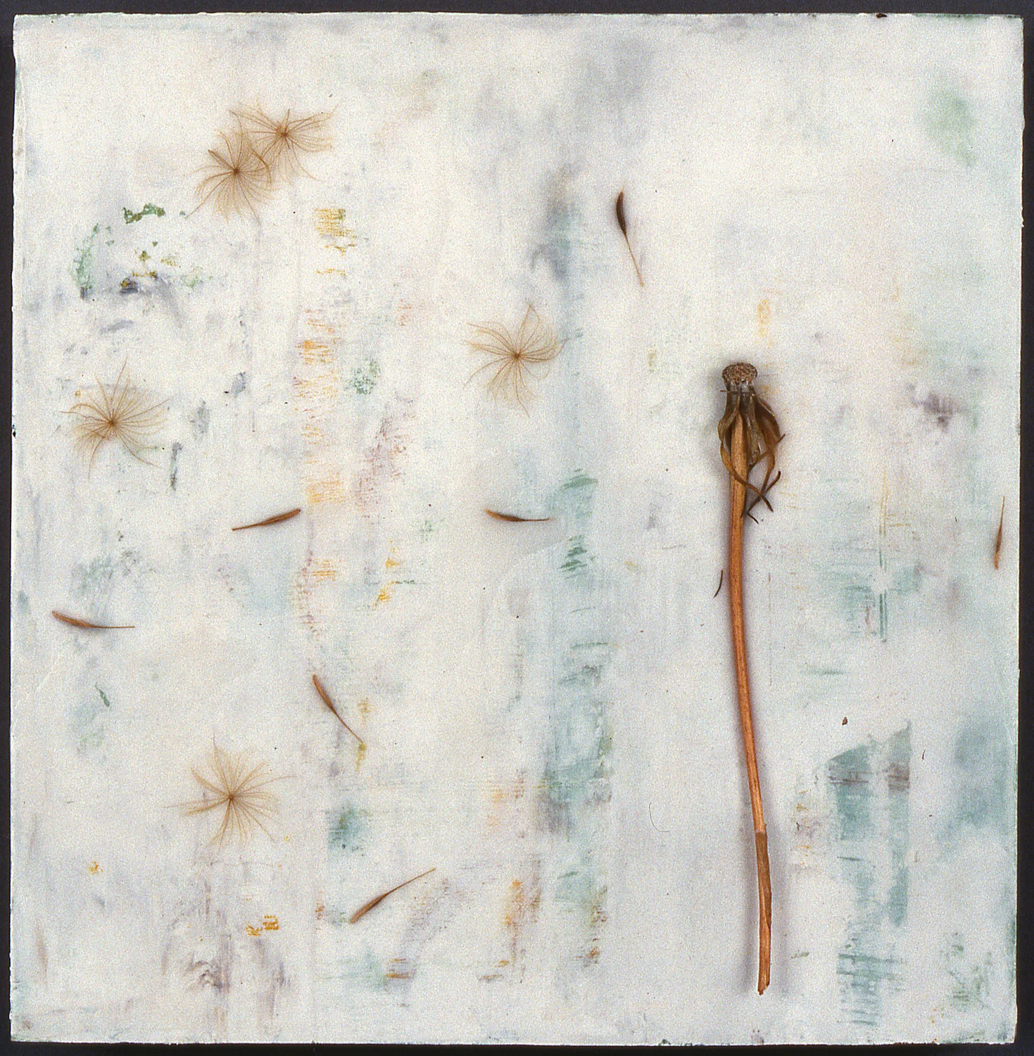  Windblown  2007  oils, plant material, encaustic on panel  12" x 12" 