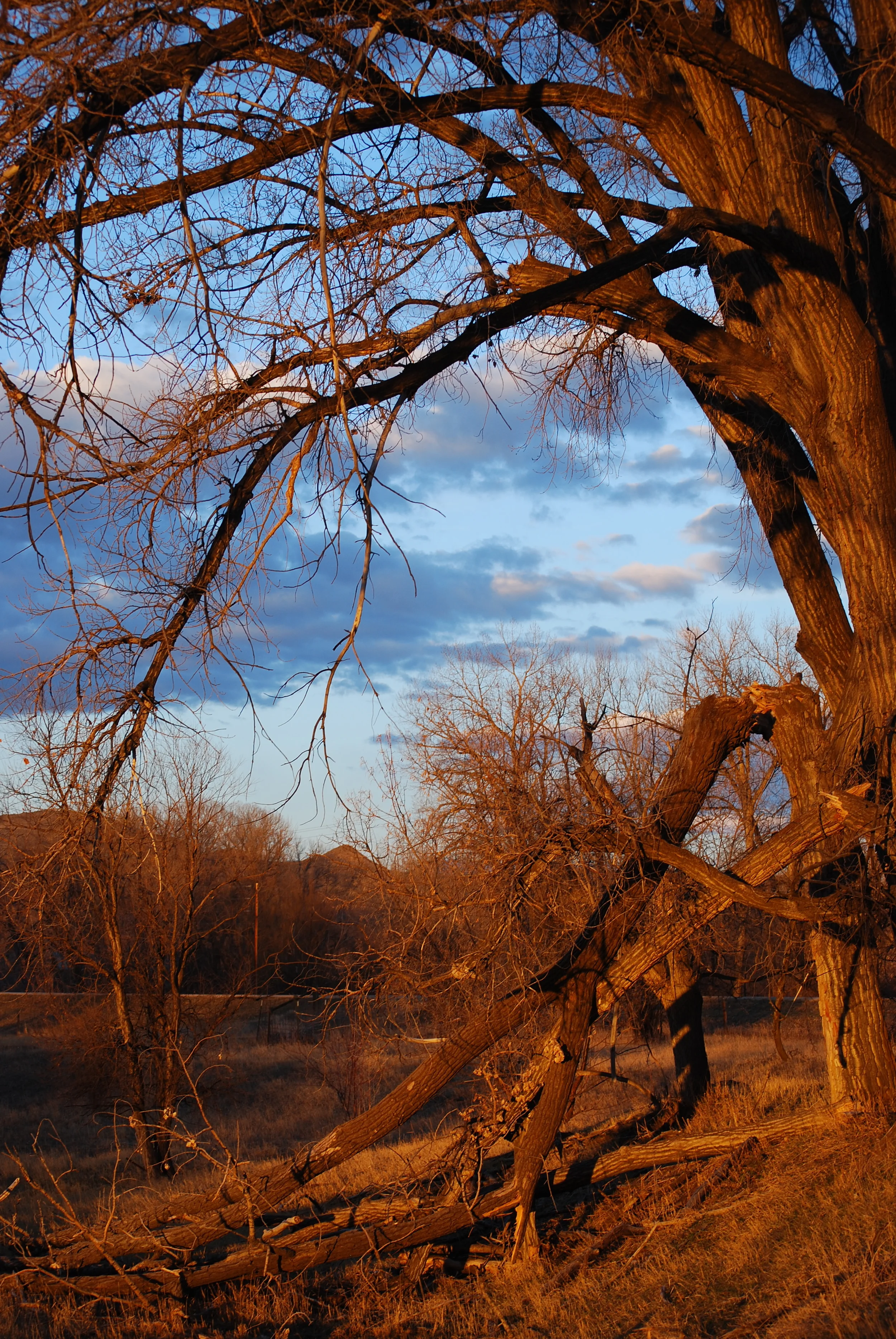 DSC_0071.JPG