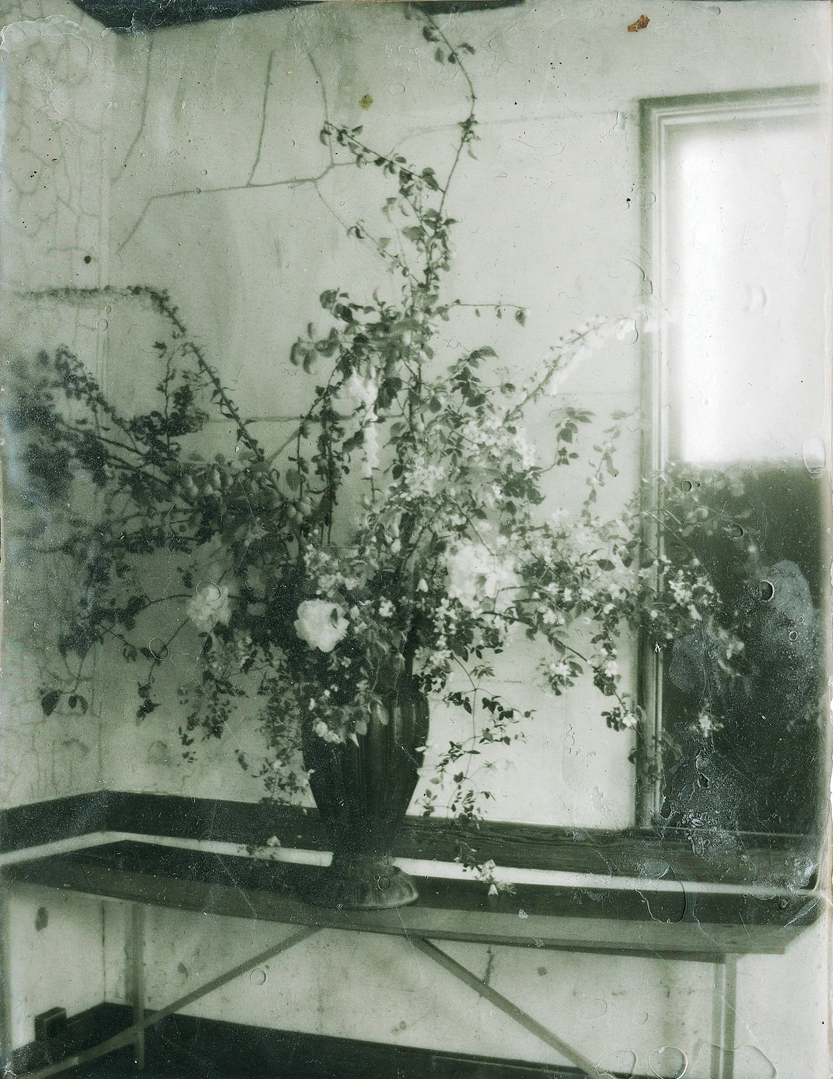 Still Life _c.jpg