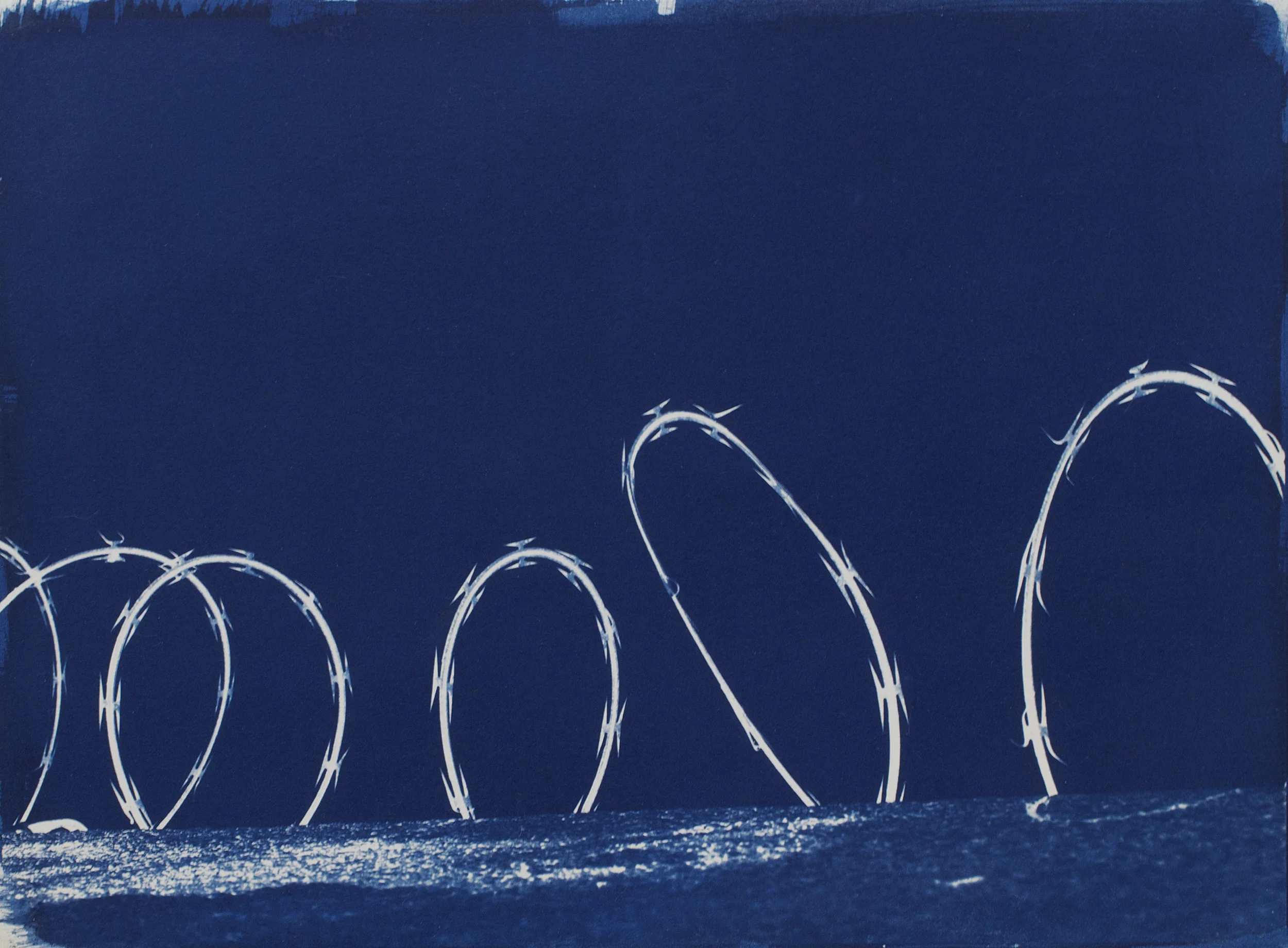  Concertina  2016  cyanotype on Arches Platine paper 