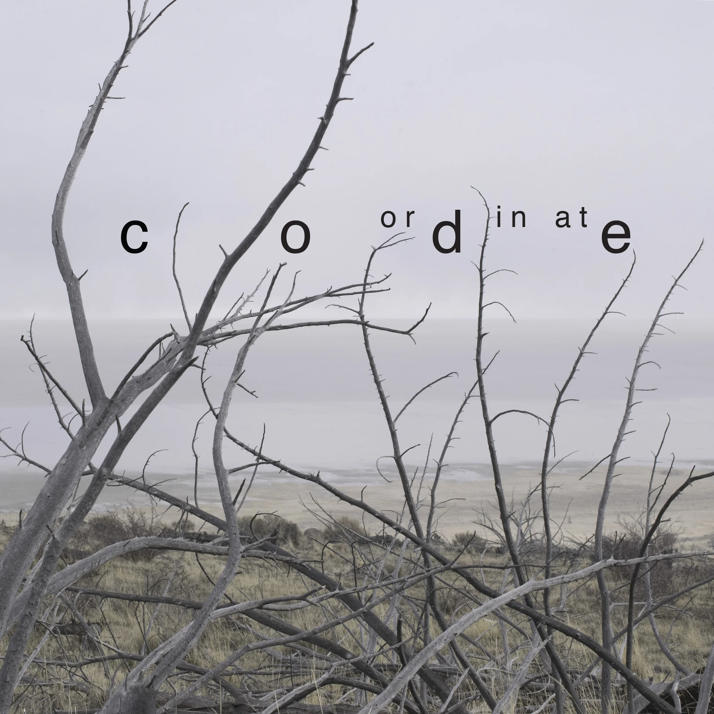 An Alphabet in collaboration with Libby Wadsworth