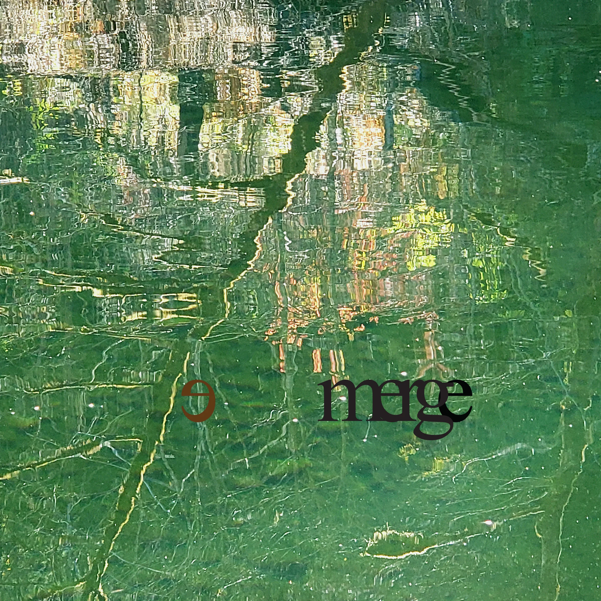 5_Emerge.jpg