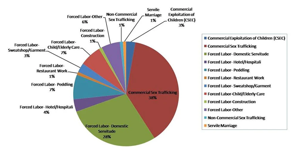 pie-of-human-trafficking-statistics.jpg