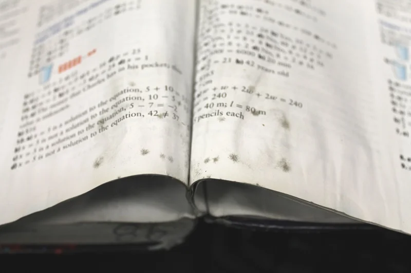 How Small Details Make Incredible Differences