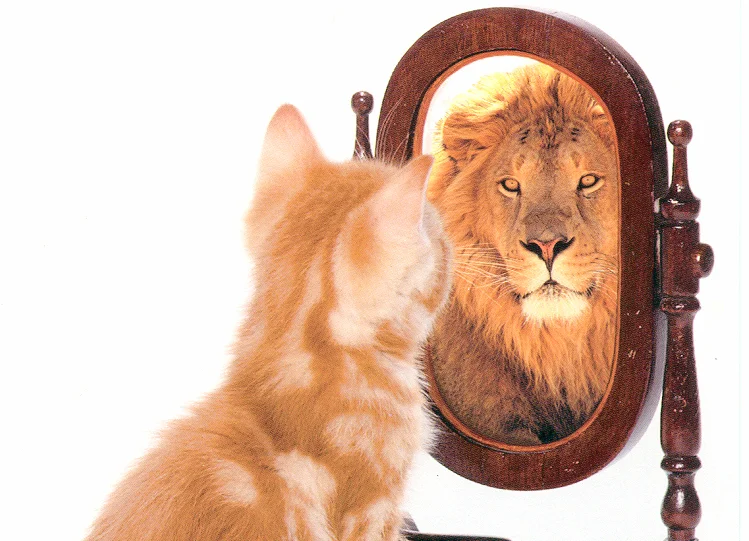 The Extraordinary Value of Identity on Your Willpower