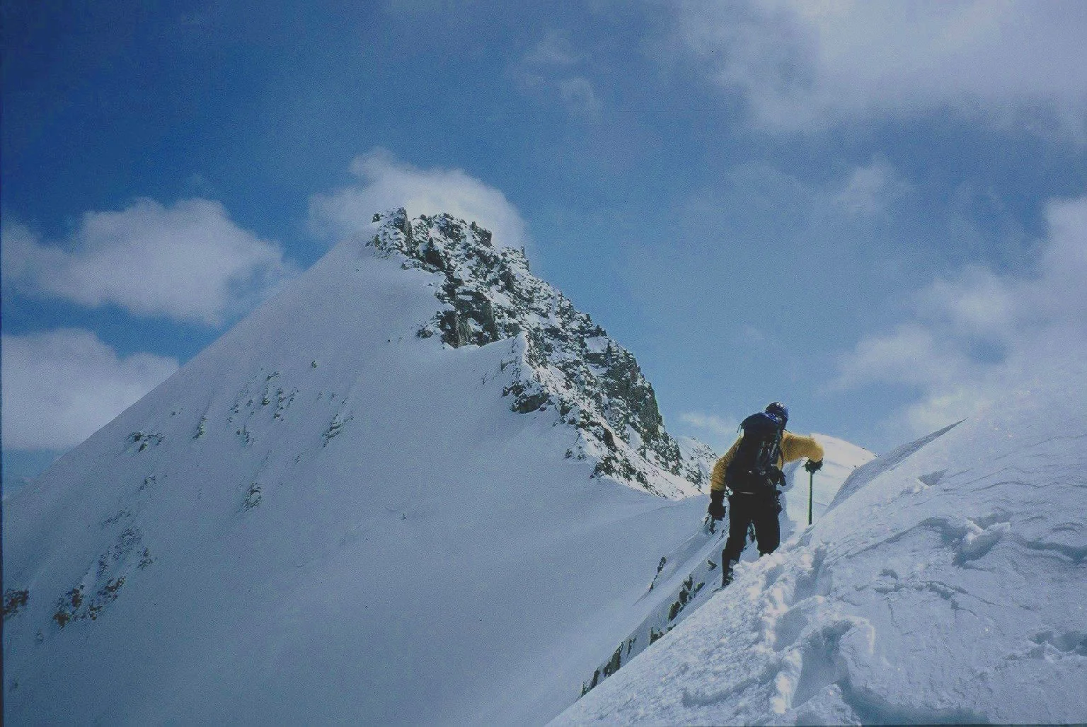 10 Huge Successes and Failures from Year One of Willpowered