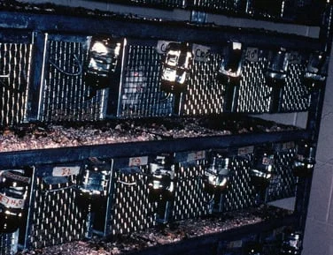 How I Discovered That Everything I Thought I Knew About Addiction Was Wrong