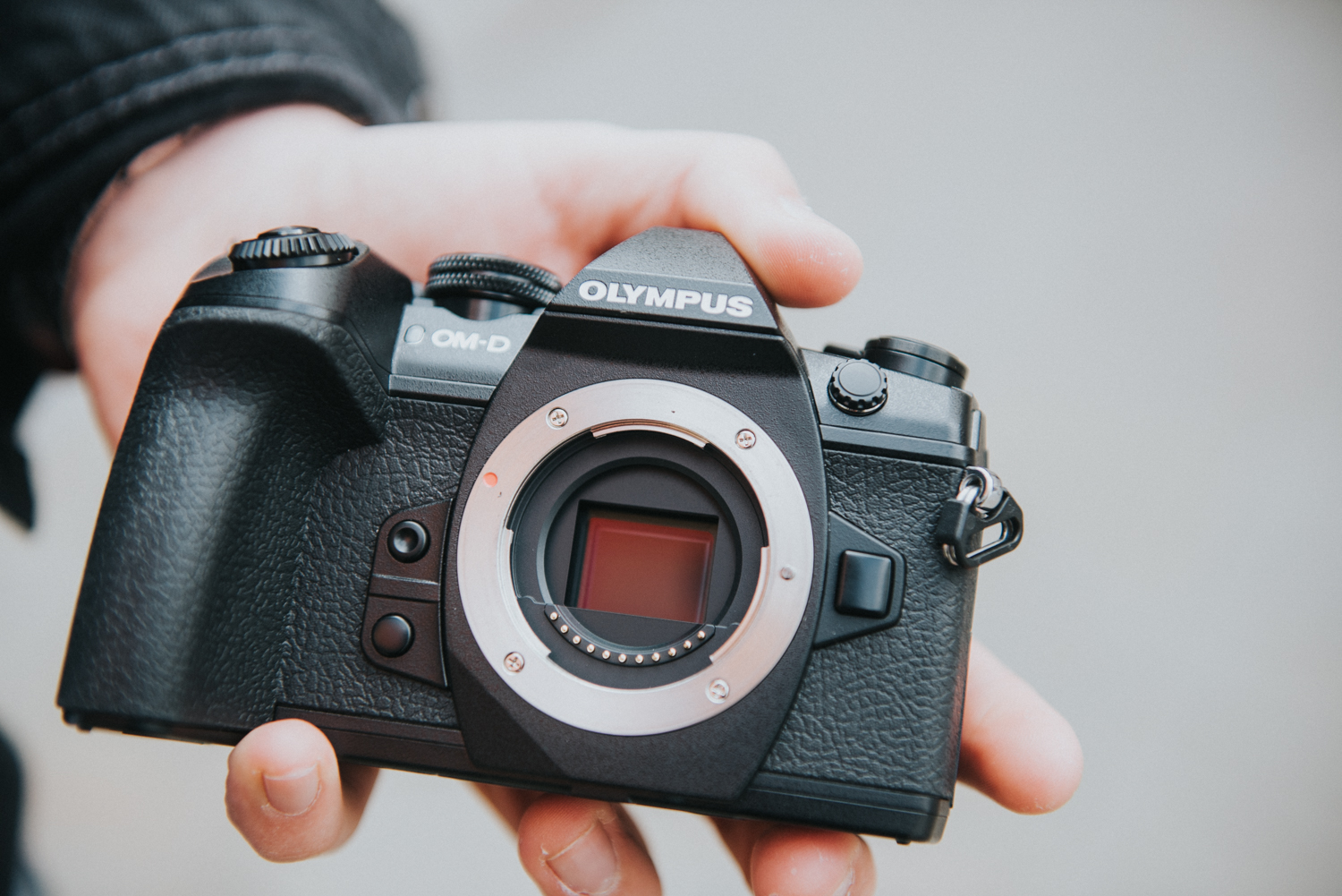 Field Test: Olympus OM-D E-M1 Mark II — Luke Holroyd Photography