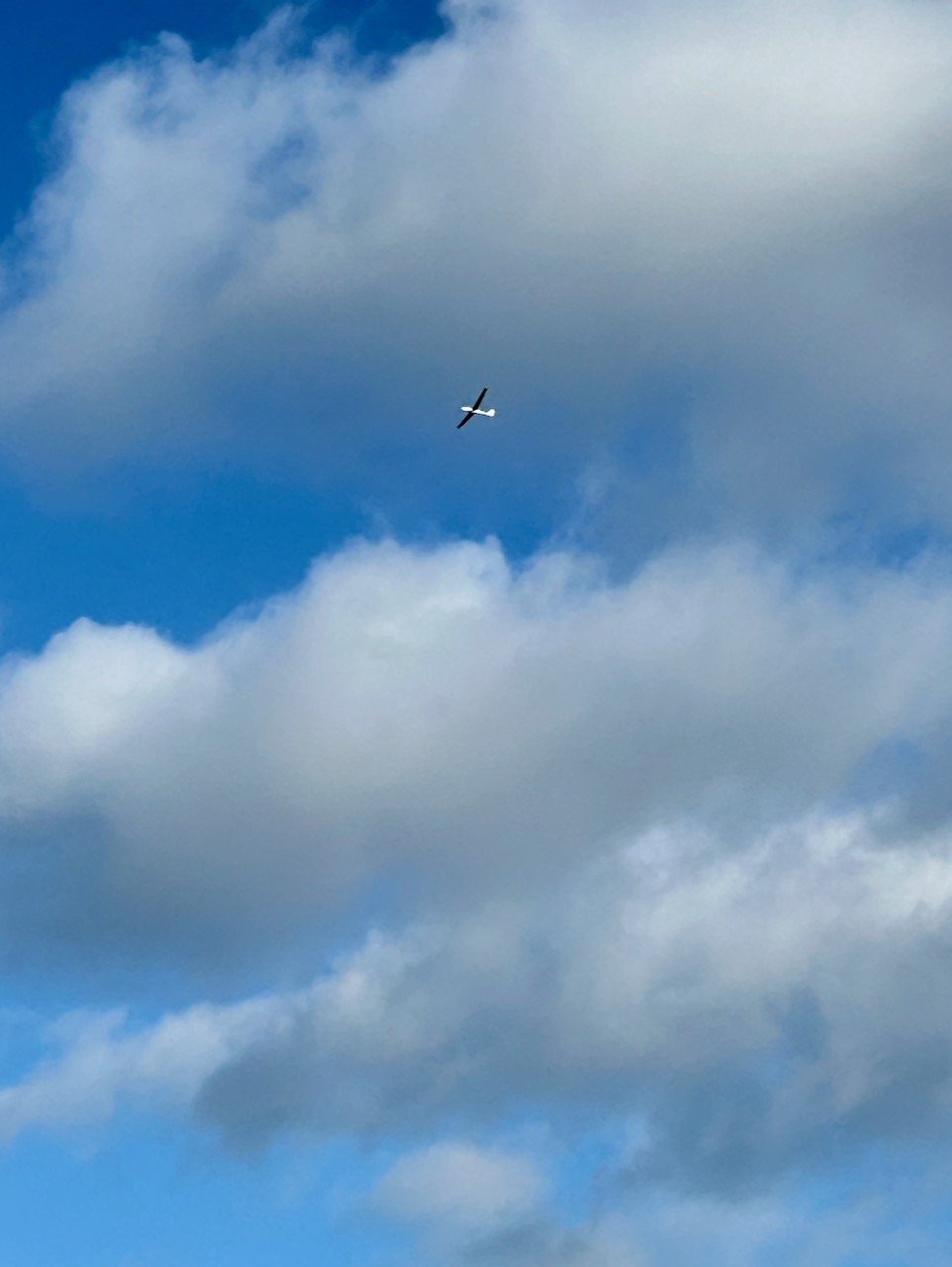 Looking up we spotted a glider from the nearby gliding school