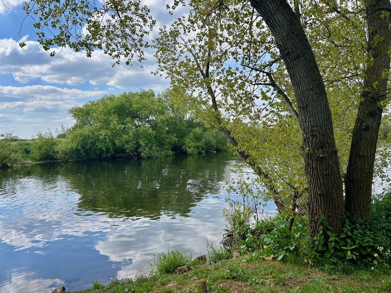 reflections in the river trent