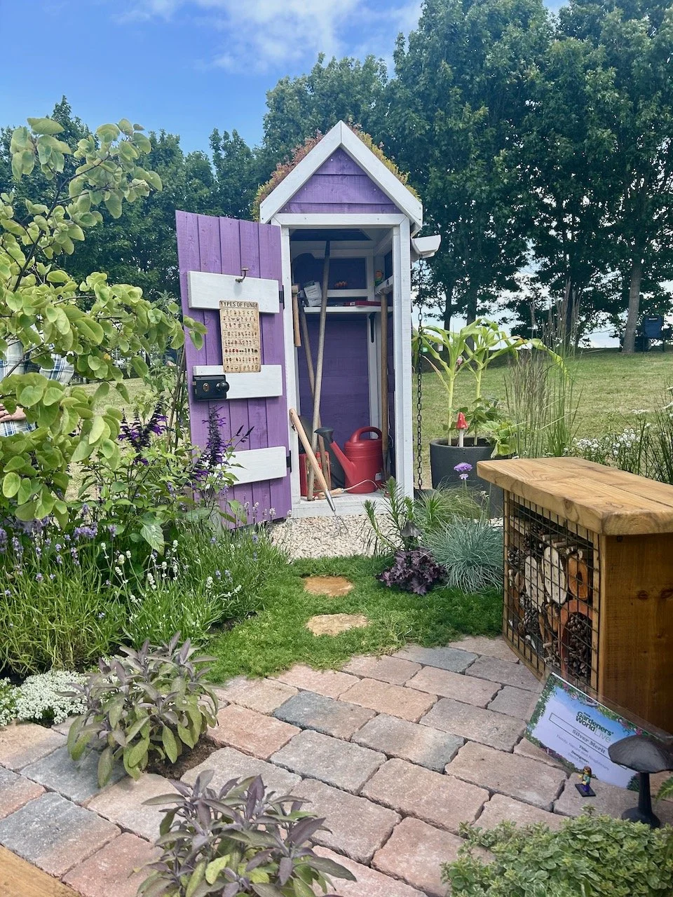 Looking at the open door of the tiny purple shed with the planted green roof