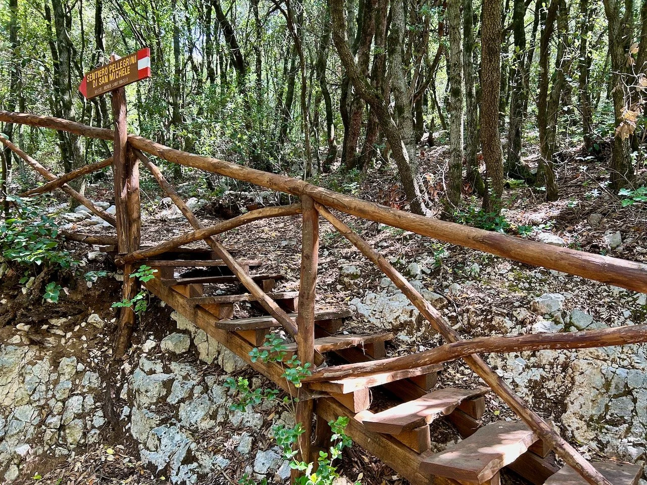 wooden stairs leading up into a wooded area