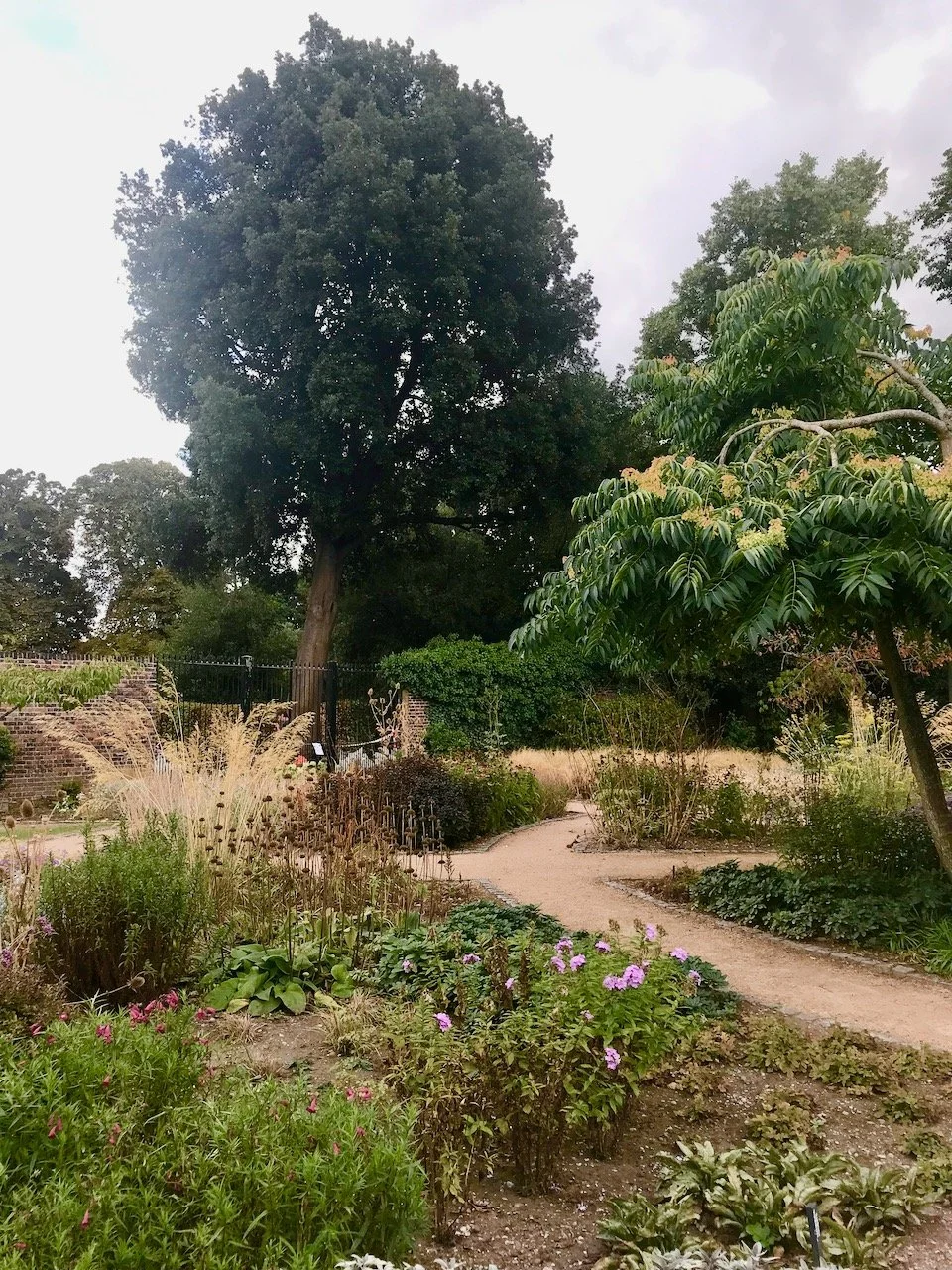 circular pathways surround shaped beds and lead you through the garden, the trees add height and tranquility