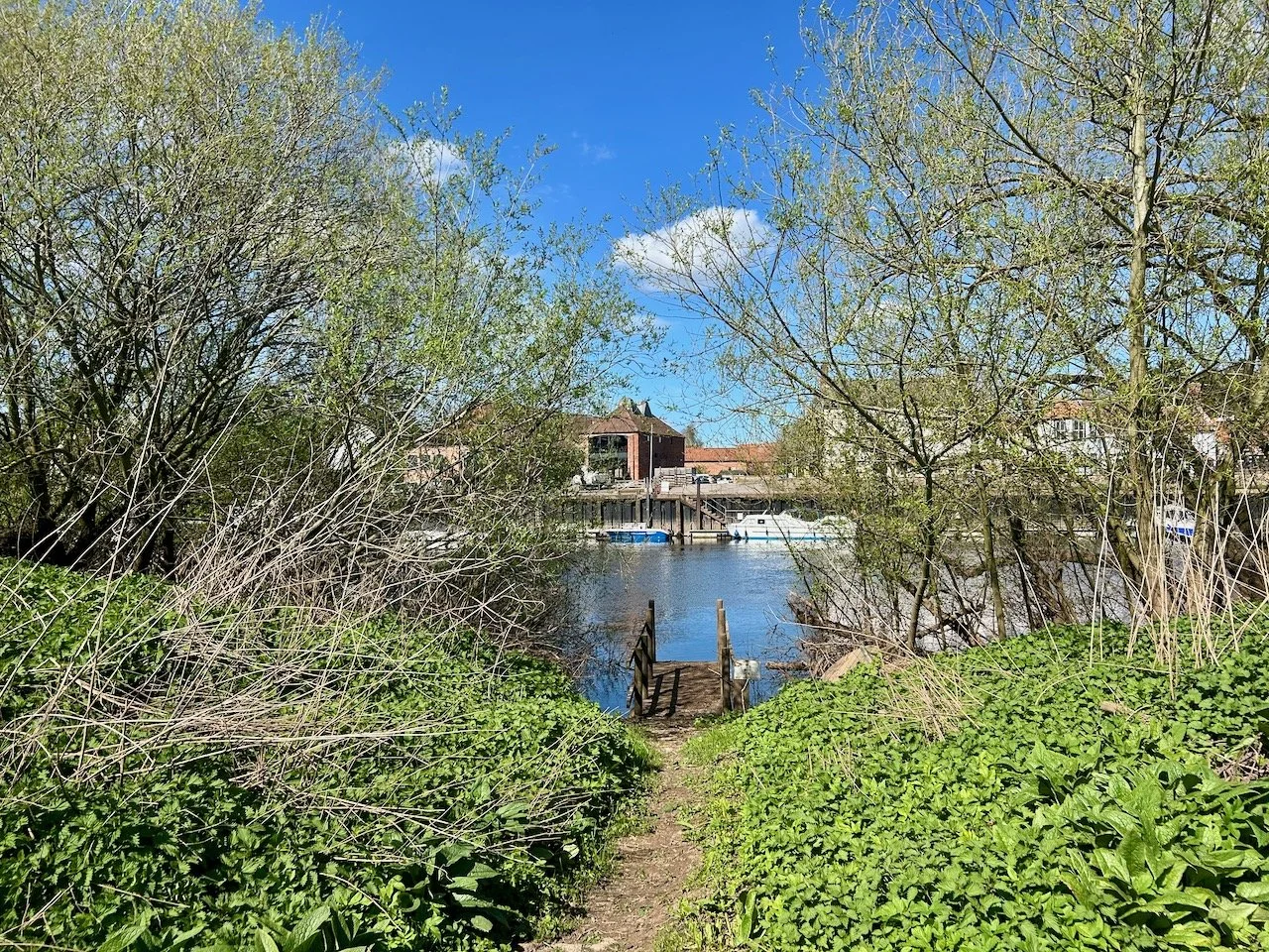 The wooden jetty is clearly visible in the centre of the picture, despite the green vegetation either side of it