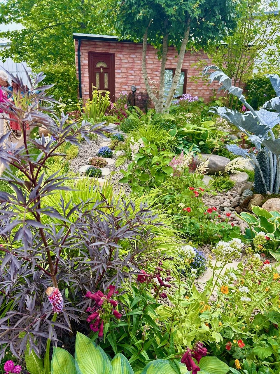 Looking towards the front door, through dense and lush planting with a stepping stone path dotted with plants