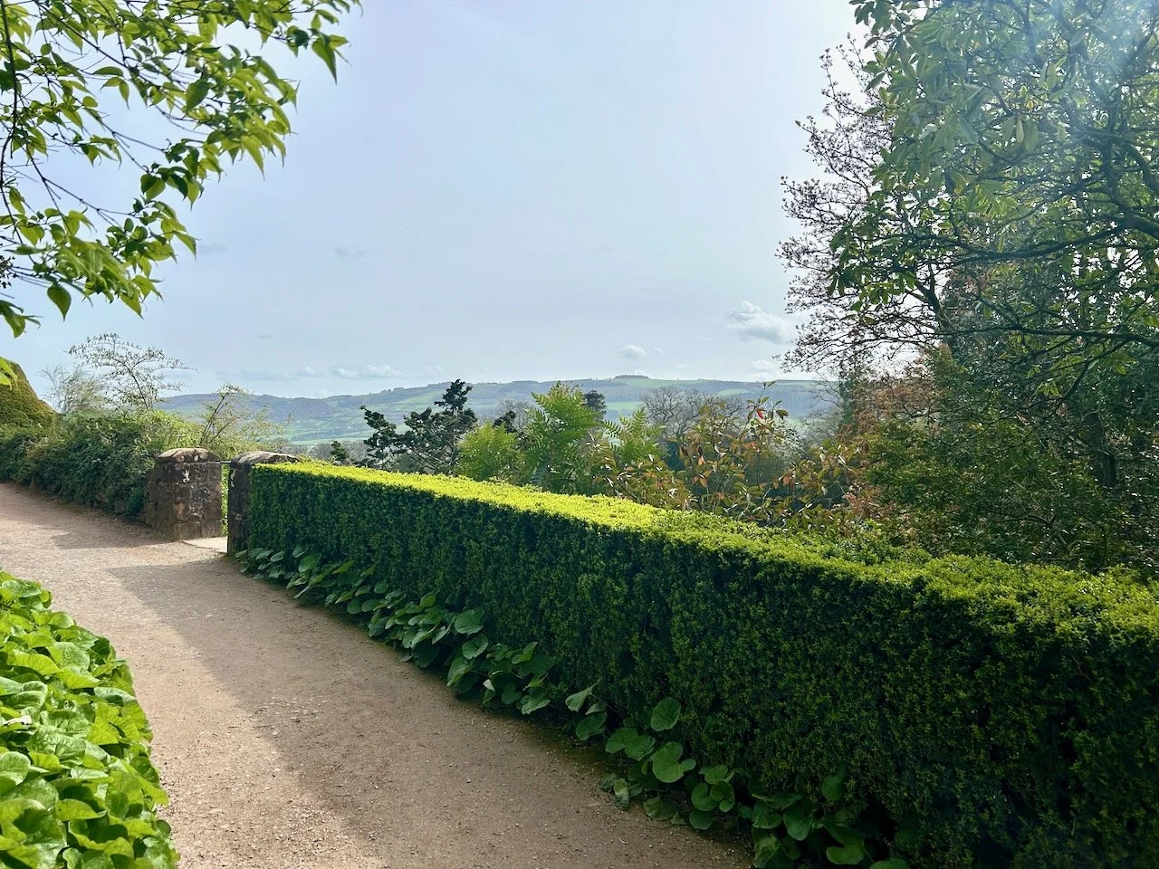A view across the clipped hedges of the Severn valley
