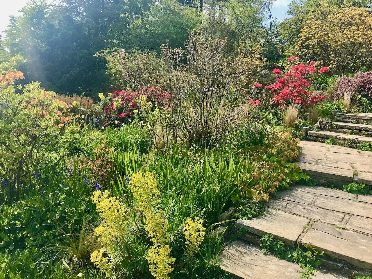plants edging the steps back towards the manor house