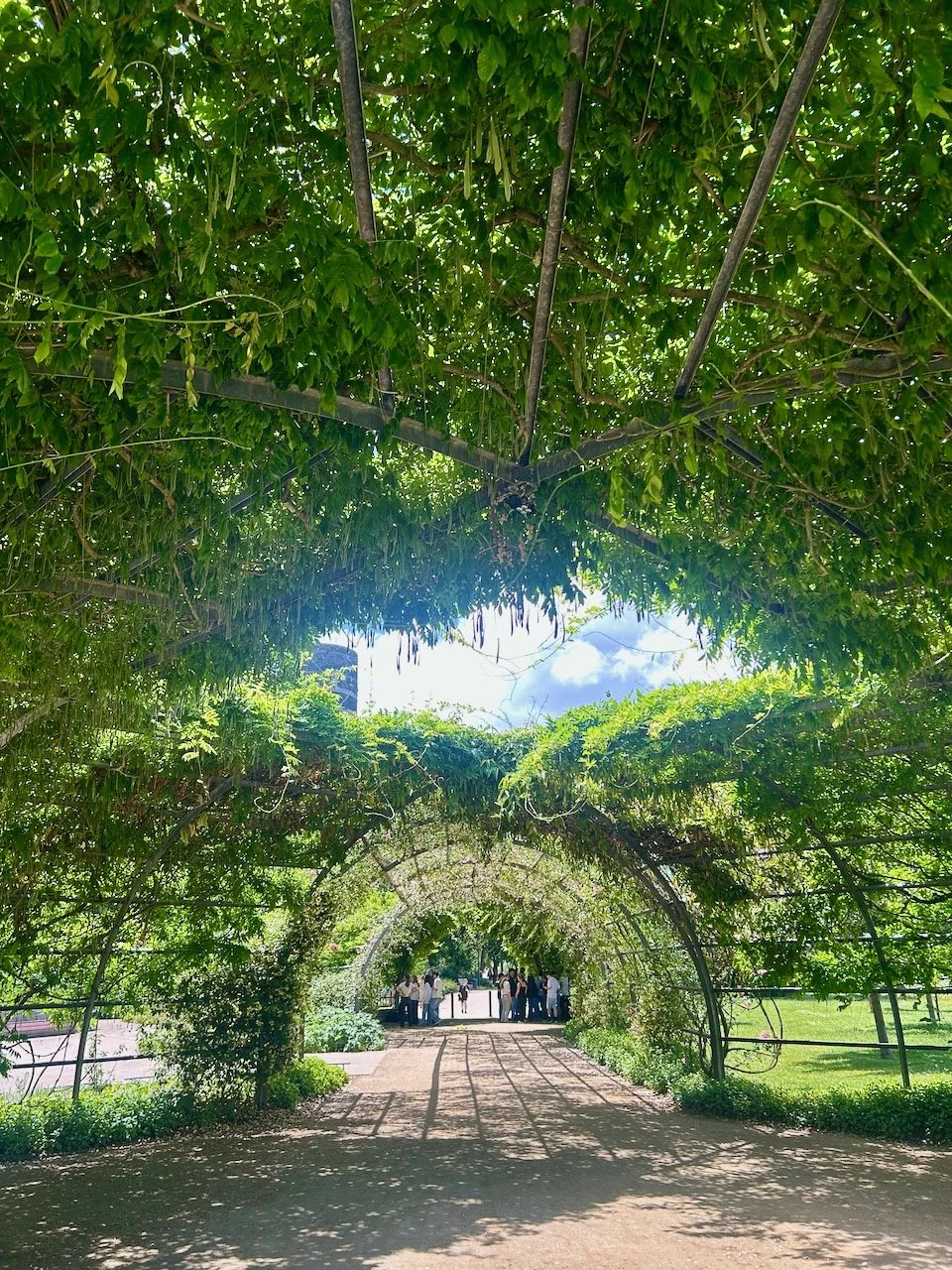 In the arched structure and under the plants above