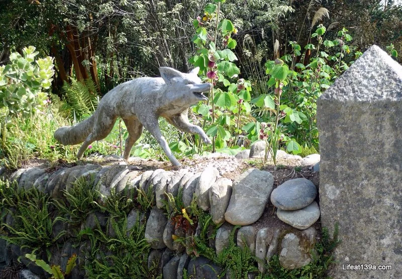 I wish the foxes in my garden were this static