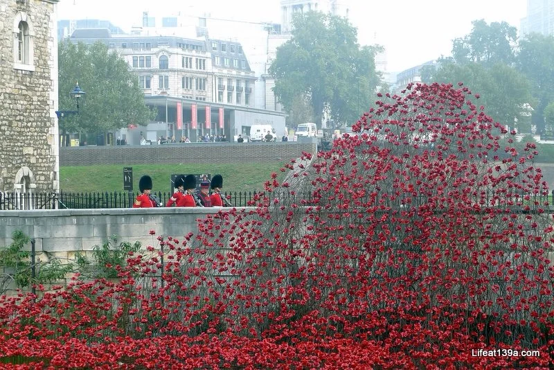 The Poppies at the Tower of London