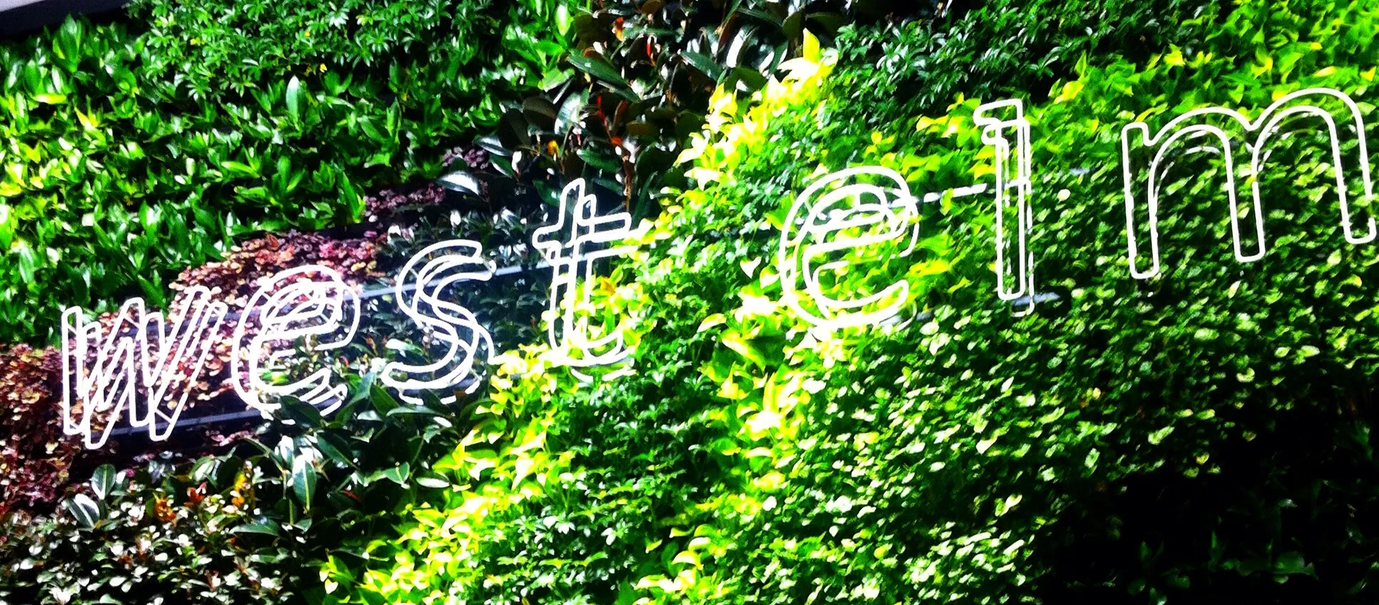 The in-store living wall