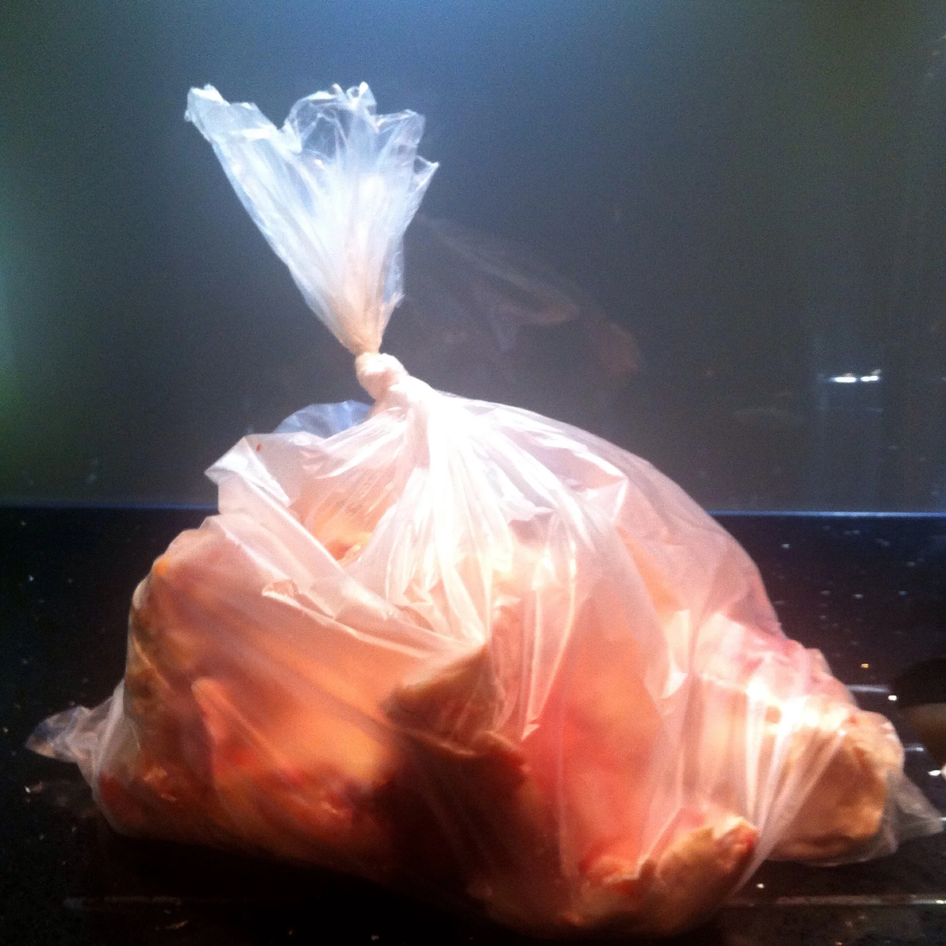 A large bag of bones