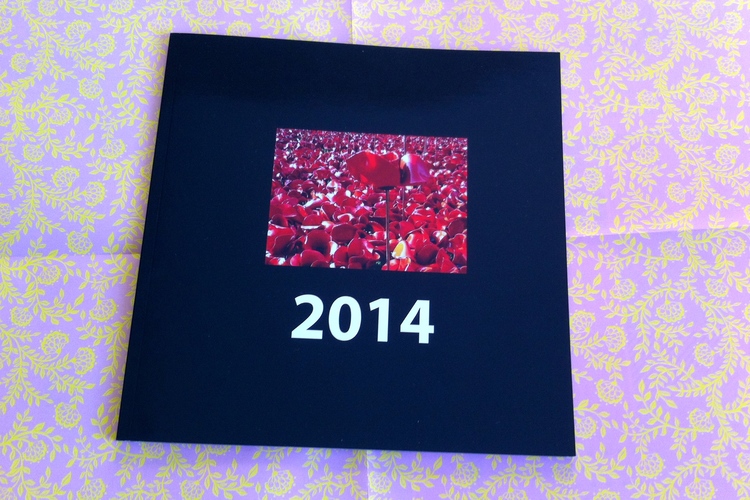 2014: a much more relaxed year and one of the highlights was getting up close to the poppies at the Tower of London