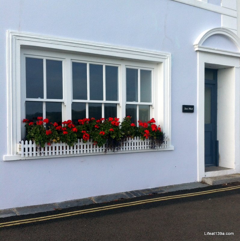 A WHITE PICKET WINDOW BOX