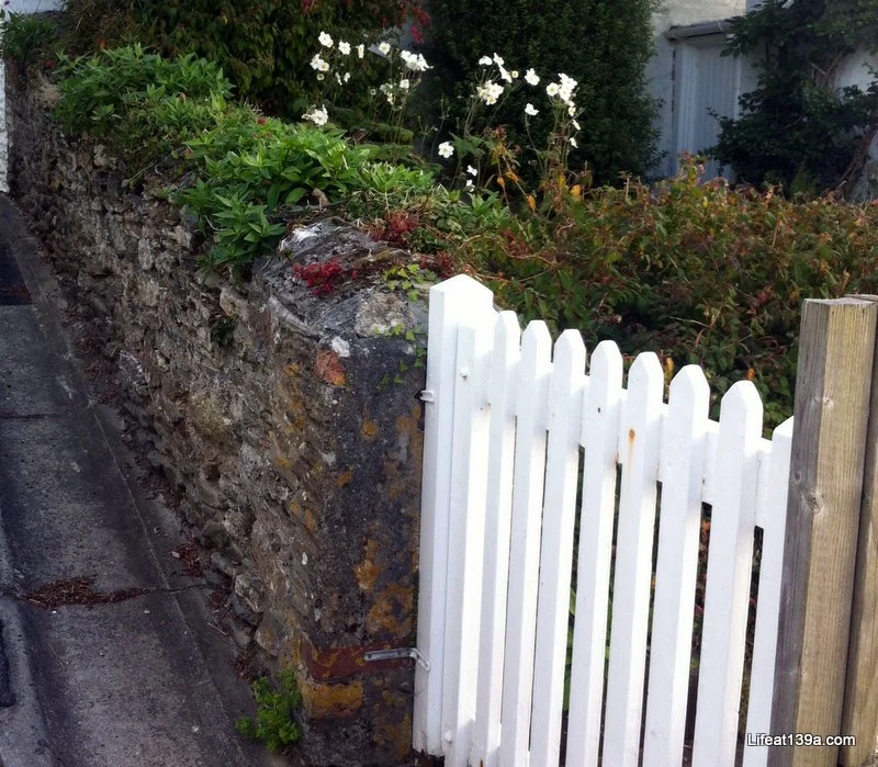I'VE WHITE GATE ENVY...