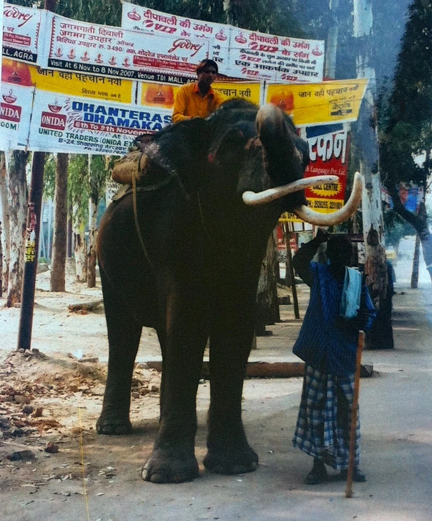 FROM OUR HONEYMOON IN 2007