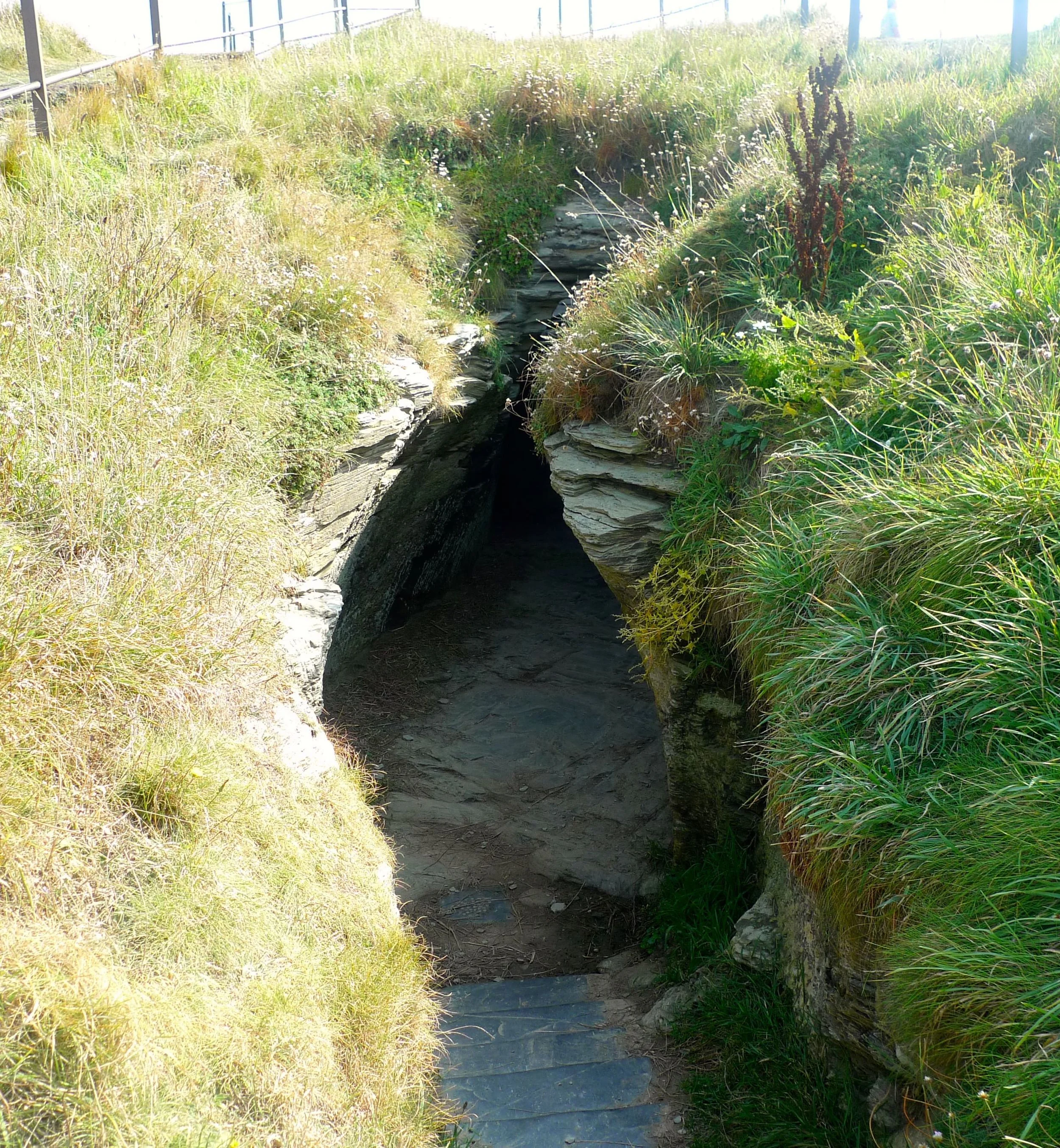 tunnel1.jpg