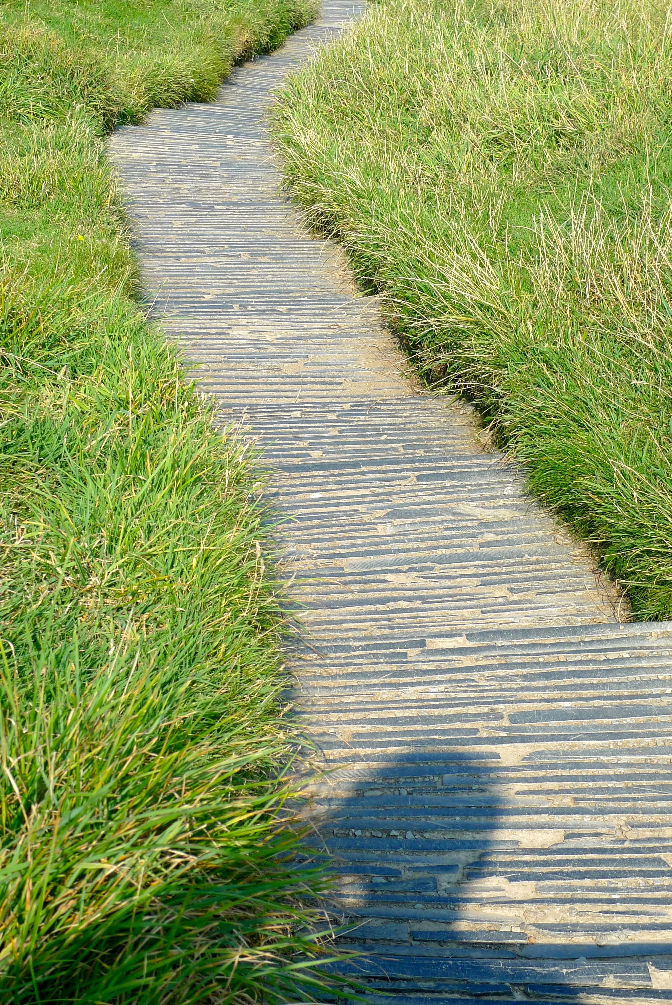 steps.jpg