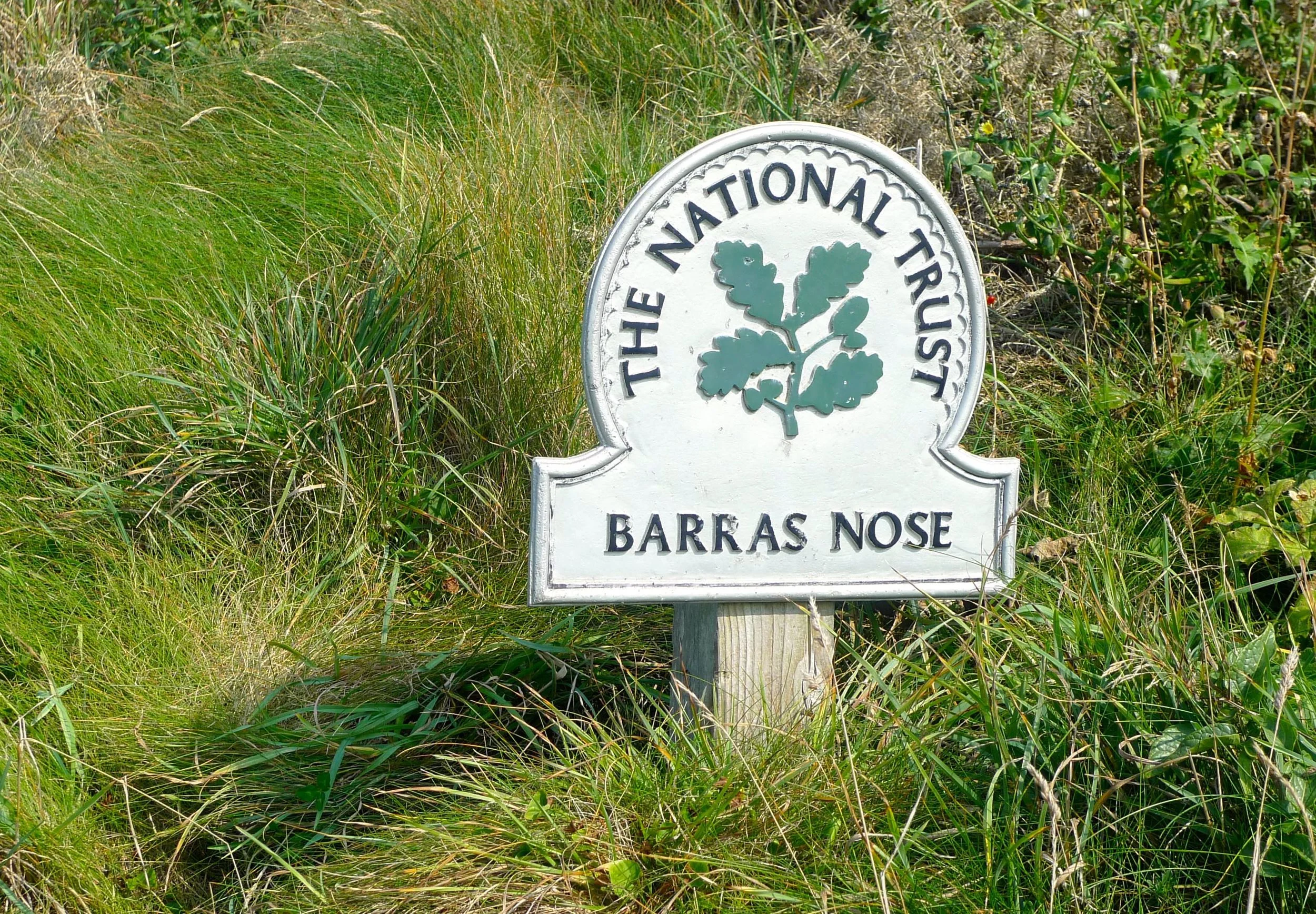 Barras Nose National Trust