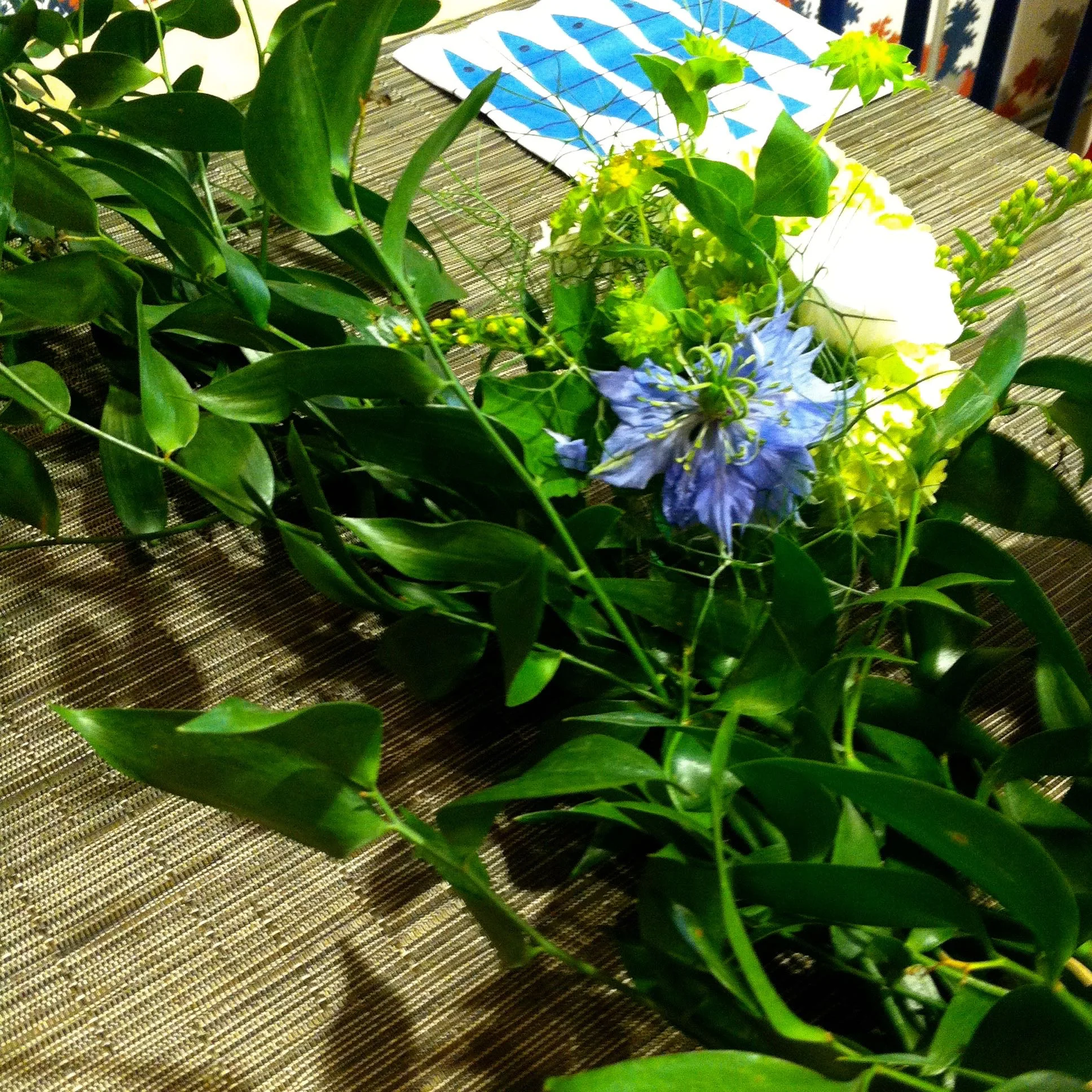 Swedish Midsummer nigella.jpg