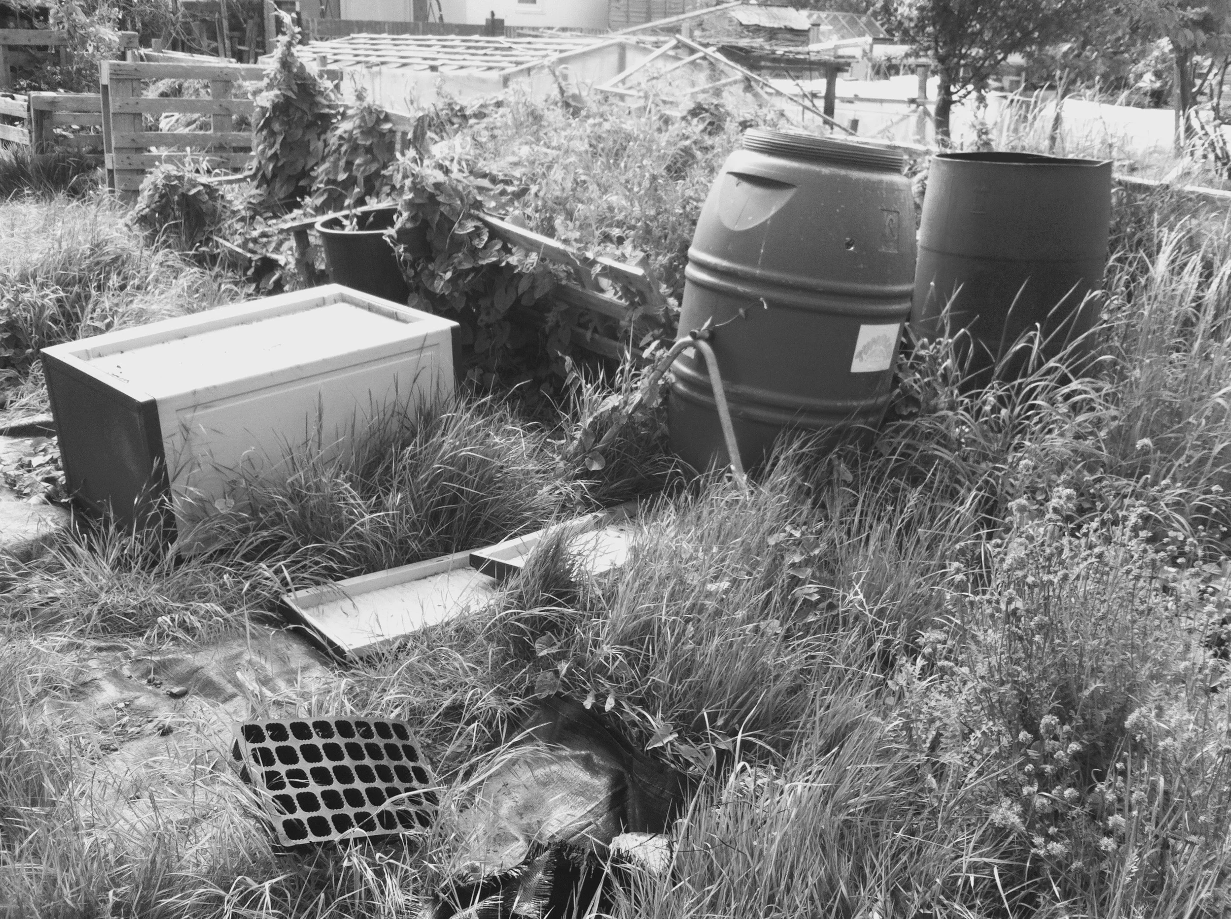 PLOT 26: IN DESPERATE NEED OF SOME TLC